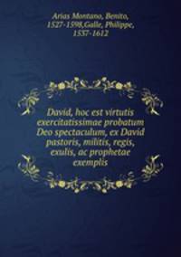 David, hoc est virtutis exercitatissimae probatum Deo spectaculum, ex David pastoris, militis, regis, exulis, ac prophetae exemplis