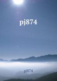 pj874