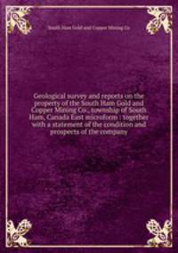 Geological survey and reports on the property of the South Ham Gold and Copper Mining Co., township of South Ham, Canada East microform : together with a statement of the condition and prospects of the company