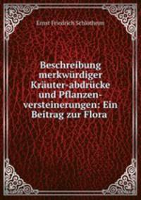 Beschreibung merkwurdiger Krauter-abdrucke und Pflanzen-versteinerungen: Ein Beitrag zur Flora .