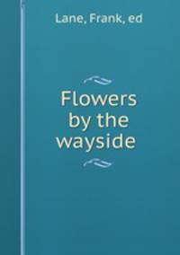 Flowers by the wayside