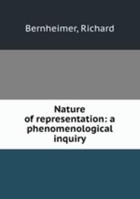 Nature of representation: a phenomenological inquiry