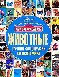 Животные. Лучшие фотографии со всего мира
