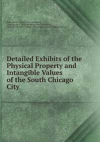 Detailed Exhibits of the Physical Property and Intangible Values of the South Chicago City .