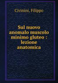 Sul nuovo anomalo muscolo minimo gluteo : lezione anatomica