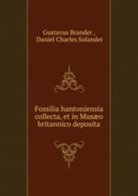 Fossilia hantoniensia collecta, et in Mus?o britannico deposita