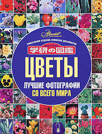 Цветы. Лучшие фотографии со всего мира