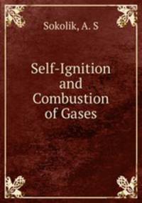 Self-Ignition and Combustion of Gases