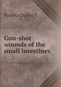 Gun-shot wounds of the small intestines