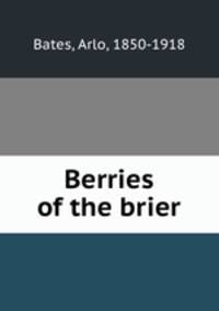Berries of the brier