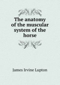 The anatomy of the muscular system of the horse