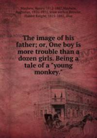 The image of his father; or, One boy is more trouble than a dozen girls. Being a tale of a "young monkey."