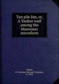 Tan pile Jim, or, A Yankee waif among the bluenoses microform