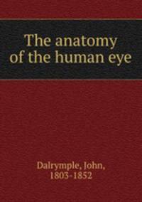 The anatomy of the human eye