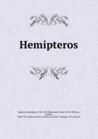 Hemipteros