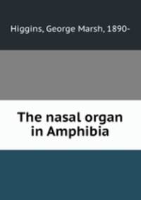 The nasal organ in Amphibia