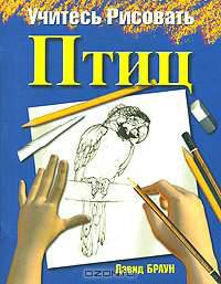 Учитесь рисовать птиц