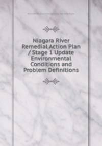 Niagara River Remedial Action Plan / Stage 1 Update Environmental Conditions and Problem Definitions