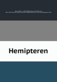 Hemipteren