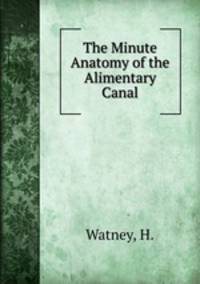 The Minute Anatomy of the Alimentary Canal