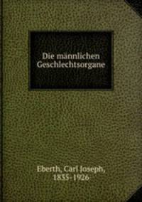 Die mannlichen Geschlechtsorgane