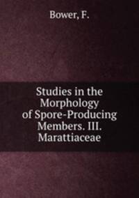 Studies in the Morphology of Spore-Producing Members. III. Marattiaceae
