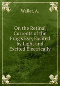 On the Retinal Currents of the Frog