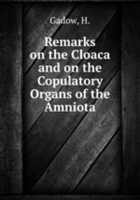 Remarks on the Cloaca and on the Copulatory Organs of the Amniota