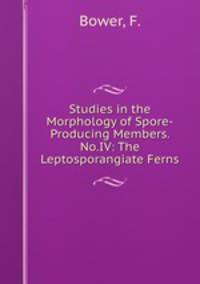Studies in the Morphology of Spore-Producing Members. No.IV: The Leptosporangiate Ferns