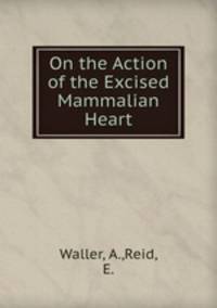 On the Action of the Excised Mammalian Heart