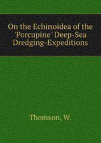 On the Echinoidea of the 