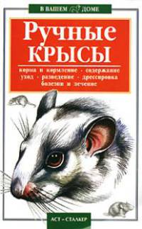 Ручные крысы .