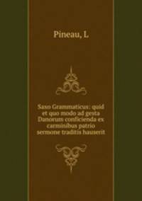 Saxo Grammaticus: quid et quo modo ad gesta Danorum conficienda ex carminibus patrio sermone traditis hauserit
