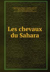 Les chevaux du Sahara