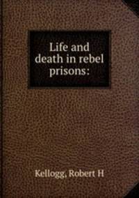 Life and death in rebel prisons: