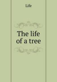 The life of a tree