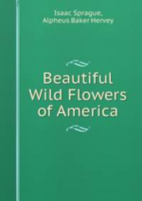 Beautiful Wild Flowers of America