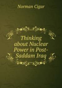 Thinking about Nuclear Power in Post-Saddam Iraq