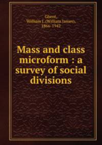 Mass and class microform : a survey of social divisions