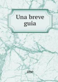 Una breve guia
