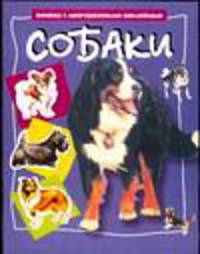Собаки