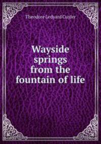 Wayside springs from the fountain of life