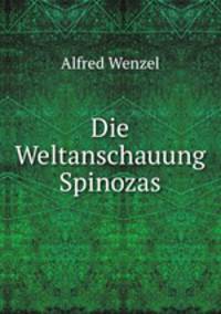 Die Weltanschauung Spinozas