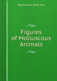 Figures of Molluscous Animals