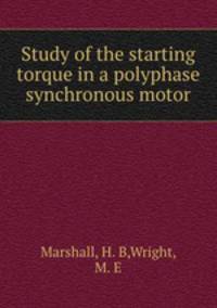 Study of the starting torque in a polyphase synchronous motor