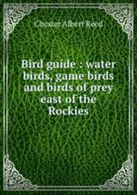 Bird guide : water birds, game birds and birds of prey east of the Rockies