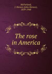 The rose in America