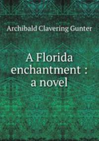A Florida enchantment : a novel