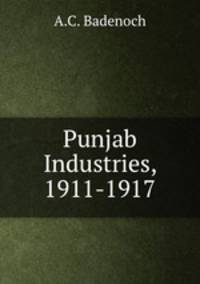 Punjab Industries, 1911-1917