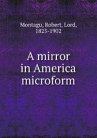 A mirror in America microform